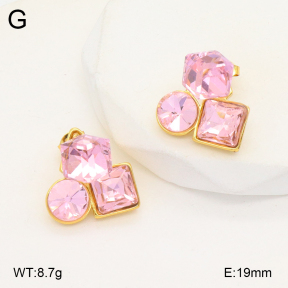 2E4004221bbov-434  Stainless Steel Earrings