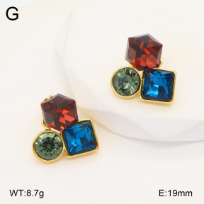 2E4004222bbov-434  Stainless Steel Earrings