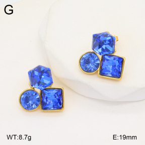 2E4004224bbov-434  Stainless Steel Earrings