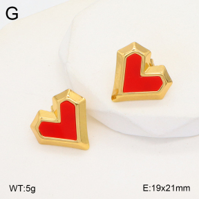 2E4004225vbll-434  Stainless Steel Earrings