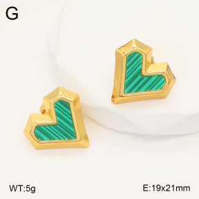 2E4004227vbll-434  Stainless Steel Earrings