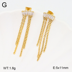 2E4004228ablb-434  Stainless Steel Earrings