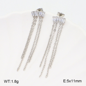 2E4004229aakl-434  Stainless Steel Earrings