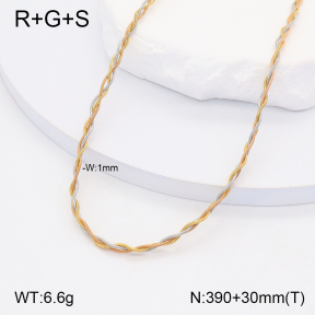 2N2005462vbnl-434  Stainless Steel Necklace
