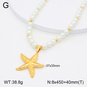 2N3002406bbov-434  Stainless Steel Necklace