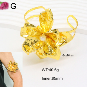 F2AB00001bbml-J121  Fashion Armband