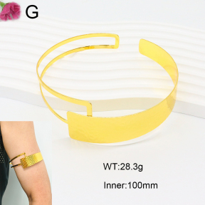 F2AB00002ablb-J121  Fashion Armband
