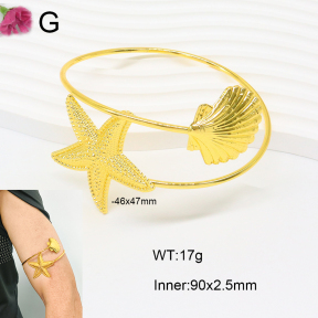 F2AB00003vbll-J121  Fashion Armband