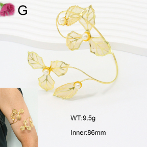 F2AB00007vbmb-J121  Fashion Armband