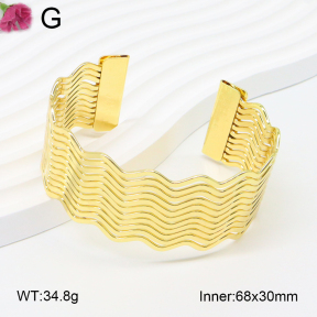 F2BA20154bbln-J121  Fashion Bangle