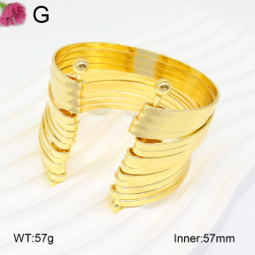 F2BA20157bbln-J121  Fashion Bangle