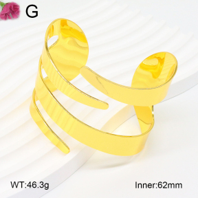 F2BA20161ablb-J121  Fashion Bangle