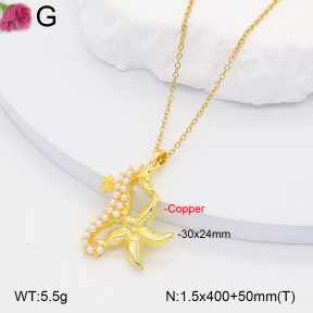 F2N300295bbml-J158  Fashion Copper Necklace