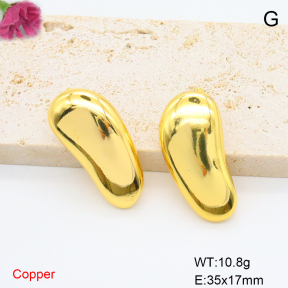 F6E206947bbml-J163  Fashion Copper Earrings