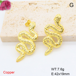 F6E206978vbmb-J163  Fashion Copper Earrings