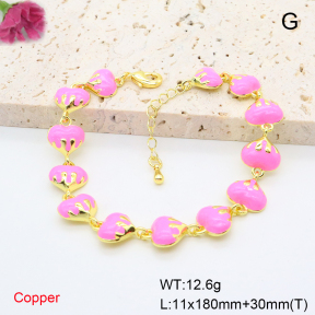 F6B301187bhva-L017  Fashion Copper Bracelet