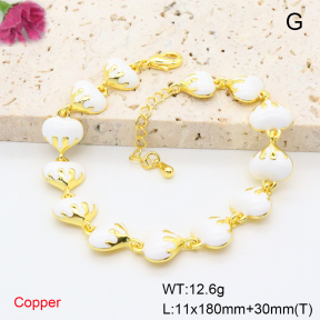 F6B301190bhva-L017  Fashion Copper Bracelet