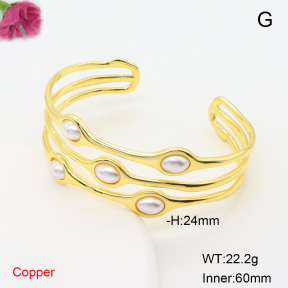 F6BA30223ahlv-L017  Fashion Copper Bangle