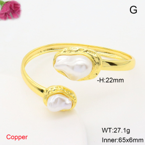 F6BA30224ahlv-L017  Fashion Copper Bangle