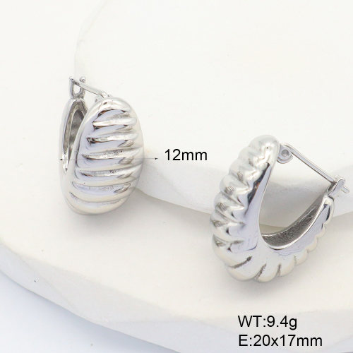 6E2007083bbno-G034  316 SS,Handmade Polished  Stainless Steel Earrings  nostock