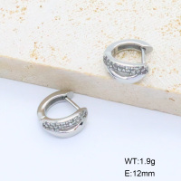 6E4004438ahjb-106D  316 SS Czech Stones,Handmade Polished  Stainless Steel Earrings  nostock