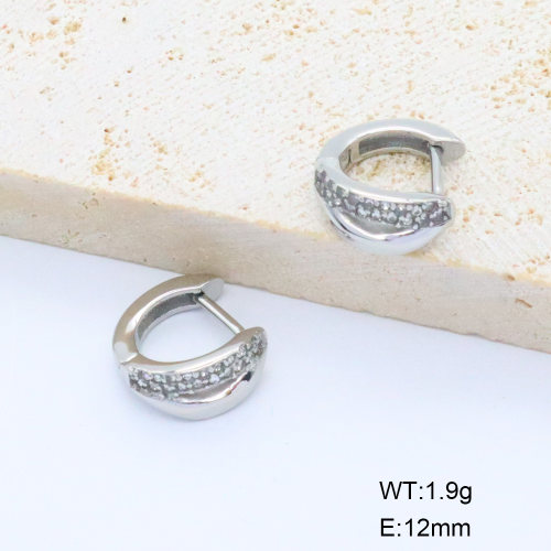6E4004438ahjb-106D  316 SS Czech Stones,Handmade Polished  Stainless Steel Earrings  nostock