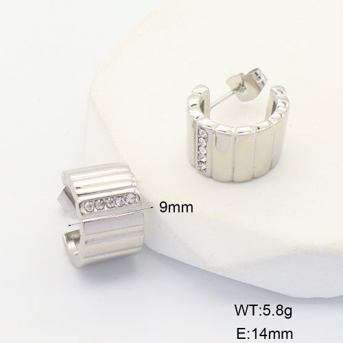 6E4004442vhhl-700  316 SS Czech Stones,Handmade Polished  Stainless Steel Earrings  nostock