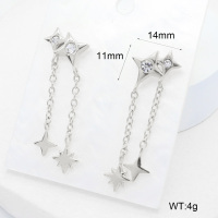 6E4004450vhha-700  316 SS Czech Stones,Handmade Polished  Stainless Steel Earrings  nostock