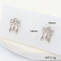 6E4004454bhjl-700  316 SS Czech Stones,Handmade Polished  Stainless Steel Earrings  nostock