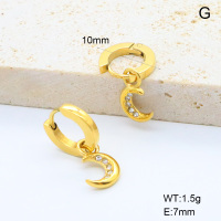 6E4004461vhkb-G034  316 SS 18K PVD Czech Stones,Handmade Polished  Stainless Steel Earrings  nostock