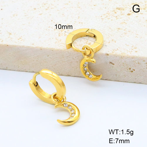 6E4004461vhkb-G034  316 SS 18K PVD Czech Stones,Handmade Polished  Stainless Steel Earrings  nostock