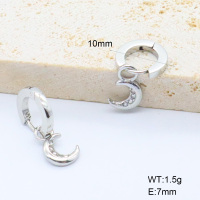 6E4004462bhhi-G034  316 SS Czech Stones,Handmade Polished  Stainless Steel Earrings  nostock