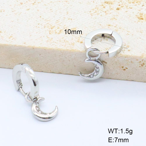6E4004462bhhi-G034  316 SS Czech Stones,Handmade Polished  Stainless Steel Earrings  nostock