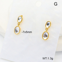 6E4004463bbok-G034  316 SS 18K PVD Glass,Handmade Polished  Stainless Steel Earrings  nostock