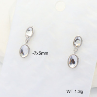 6E4004464bbmo-G034  316 SS Glass,Handmade Polished  Stainless Steel Earrings  nostock