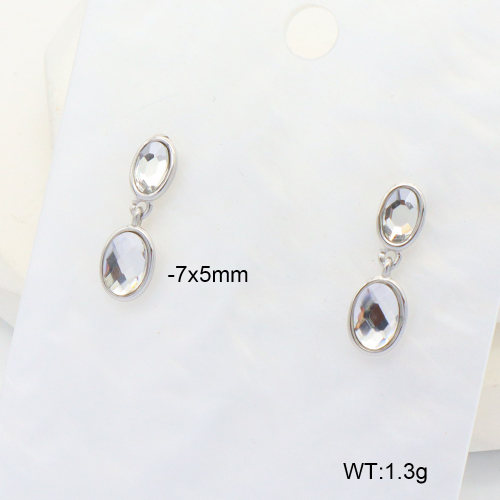 6E4004464bbmo-G034  316 SS Glass,Handmade Polished  Stainless Steel Earrings  nostock