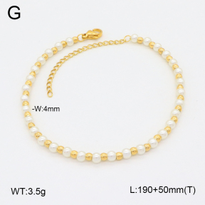 2B3003776vbnb-743  Stainless Steel Bracelet