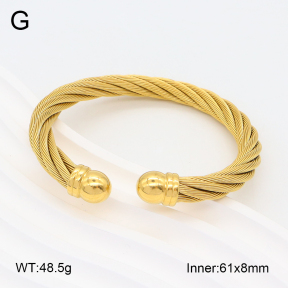 2BA201916vbpb-387  Stainless Steel Bangle
