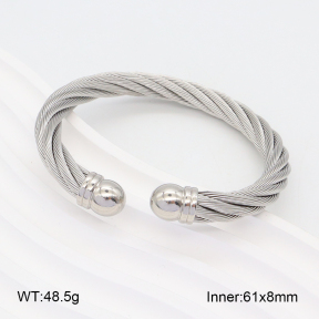 2BA201917vbmb-387  Stainless Steel Bangle