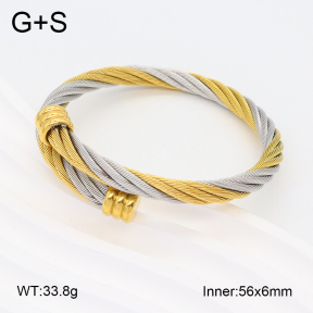 2BA201918abol-387  Stainless Steel Bangle
