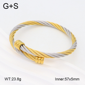 2BA201919abol-387  Stainless Steel Bangle