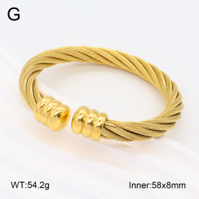 2BA201922bvpl-387  Stainless Steel Bangle