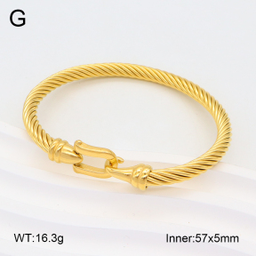 2BA201925abol-387  Stainless Steel Bangle