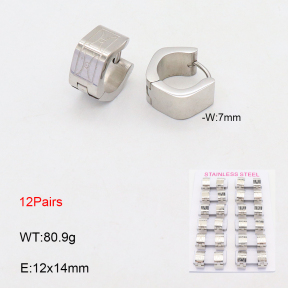 2E2005632akoa-387  Stainless Steel Earrings