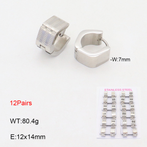 2E2005634akoa-387  Stainless Steel Earrings