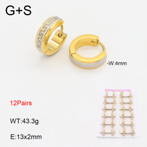 2E2005642alka-387  Stainless Steel Earrings