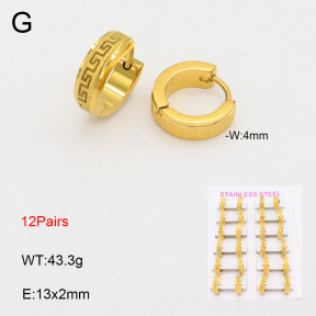 2E2005644alka-387  Stainless Steel Earrings