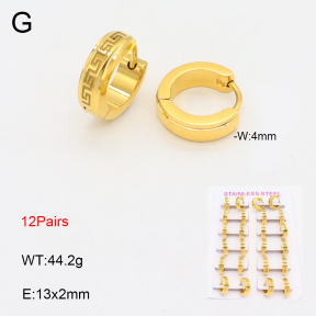 2E2005645alka-387  Stainless Steel Earrings