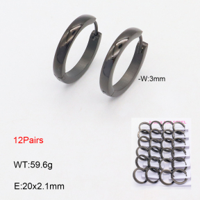 2E2005646amaa-387  Stainless Steel Earrings