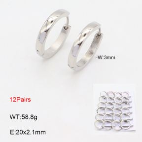 2E2005647akoa-387  Stainless Steel Earrings